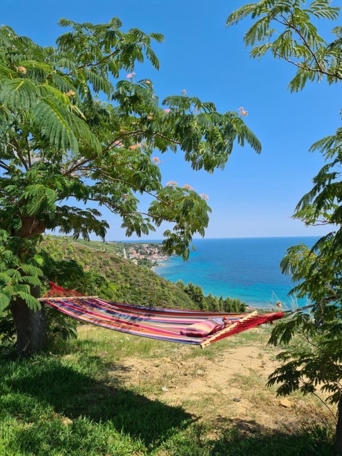 Greco Paradise Suites - Adult Only Nea Skioni Exteriér fotografie