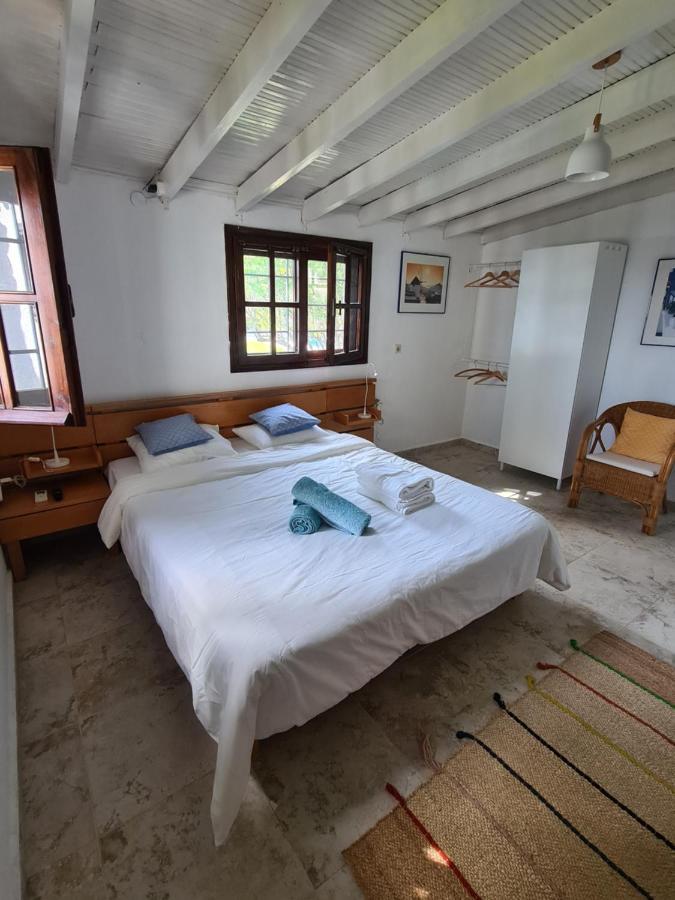 Greco Paradise Suites - Adult Only Nea Skioni Exteriér fotografie